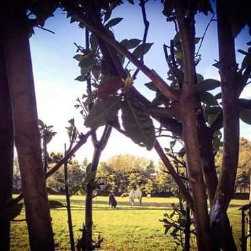 Agriturismo Beethoven Noci Bagian luar foto